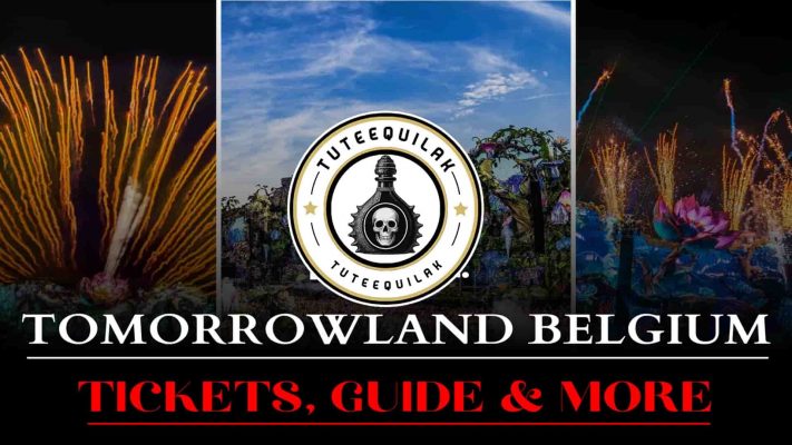 Tomorrowland Belgium 2025 – Weekend 2 A Deep Dive Into the World's Most Magical Festival